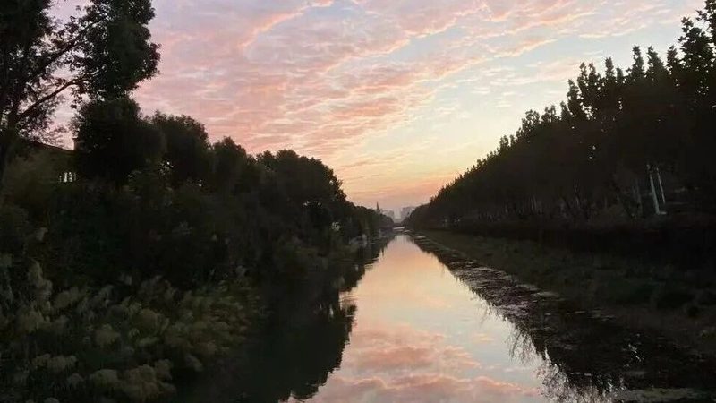 北京税务筹划公司成功案例分析：合规与效率的平衡之道