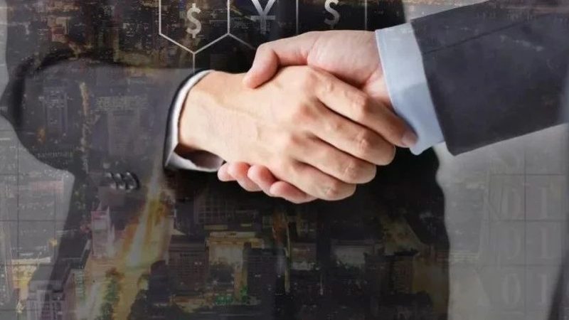 企业财税公司定制方案，价格背后的考量因素